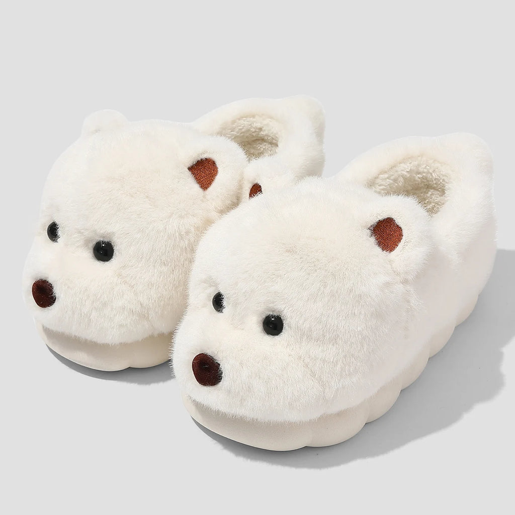 Chausson Ours Homme