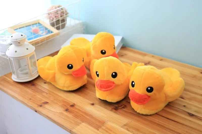 Chausson Canard Homme